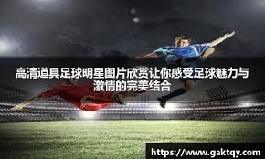 德泽尔比：拉比奥职业素养堪称典范，规则层面的因素使他离队